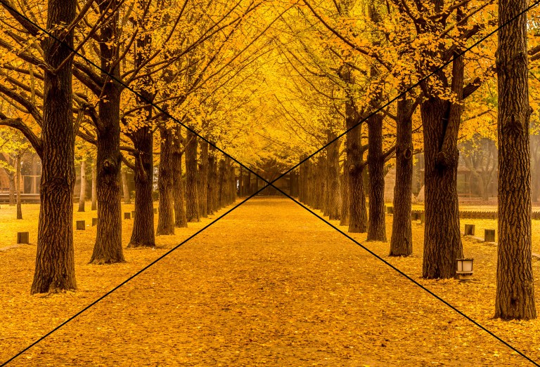 shutterstock_349901606-copy2