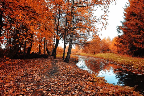 shutterstock_490614475