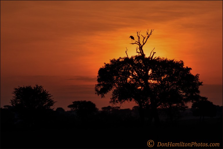 sunrise-on-the-plains_f7i8615