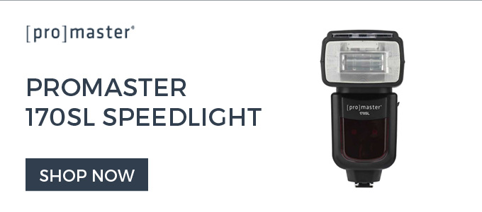 Promaster 170SL Flash