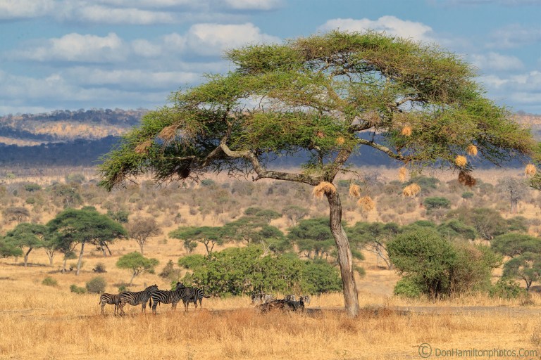 Promaster-polarizerF7I7083